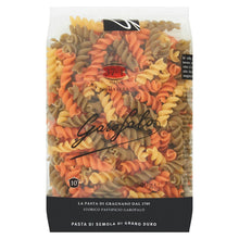  Fusilli Tricolor