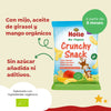 Snack Orgánico de Mijo y Mango